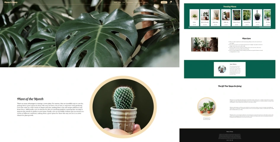 Plants A Plenty upgraded website